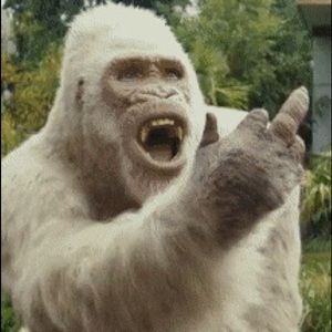 Meet your Posher, Fred